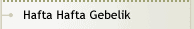 Hafta Hafta Gebelik